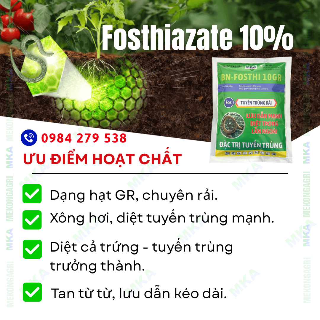 thuốc đặc trị tuyến trùng rễ